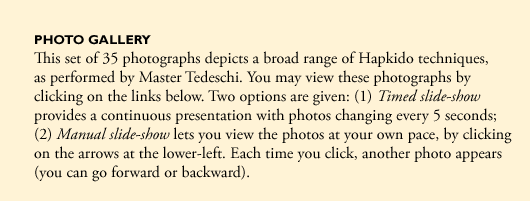 Photographs of Hapkido techniques, as performed by Master Marc Tedeschi